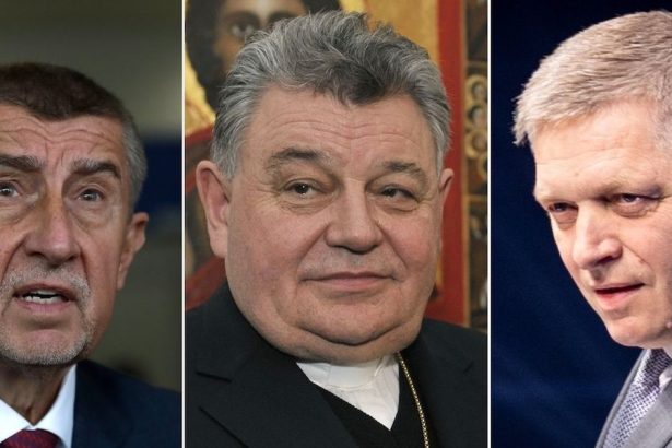 Ceski politici v slovenskej politike Podpora ospravedlnenia a napatie