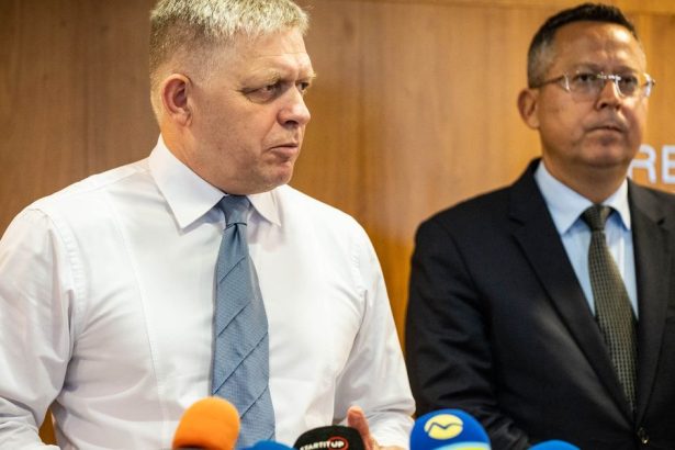 Druha najvyssia v EU Kedy sa zastavi zdrazovanie
