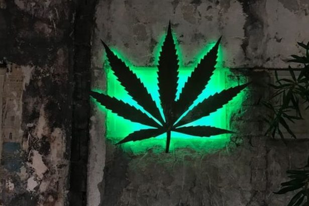 Marihuana v Thajsku bude len na recept