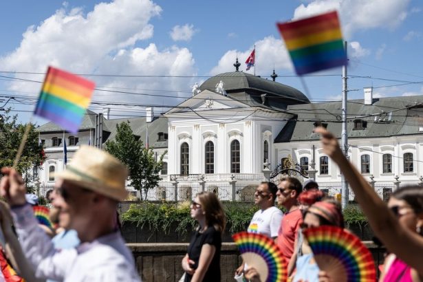 Preco sa ochrancovia normalnosti snazia zabranit partnerstvam
