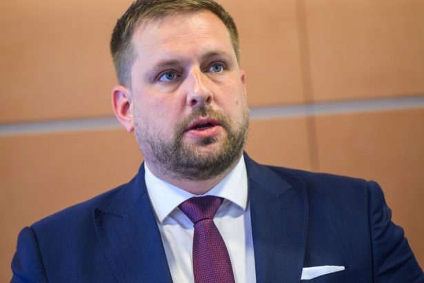 Kontroverzna sutaz o zachranky pokracuje Minister Sasko pripusta zrusenie tendra