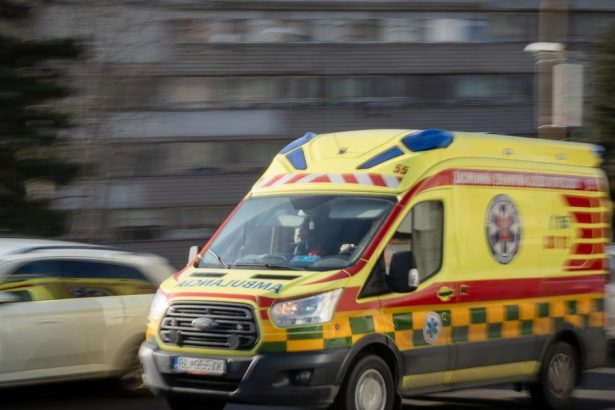 Sukromne verzus statne Kto ma riadit zachranky
