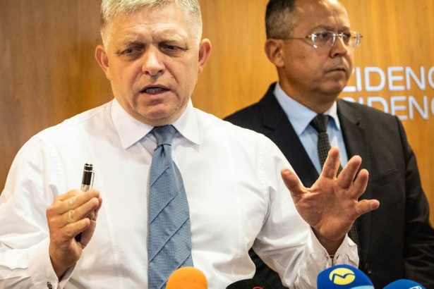 Transakcna dan zlyhava stat musi hladat nove riesenie