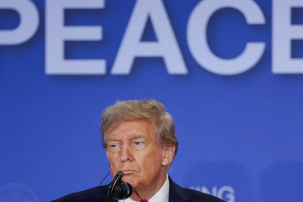 Zaruky podla Donalda Trumpa komentar Petra Bardyho