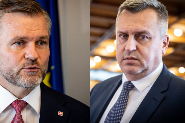 Co sa deje medzi Dankom a Pellegrinim