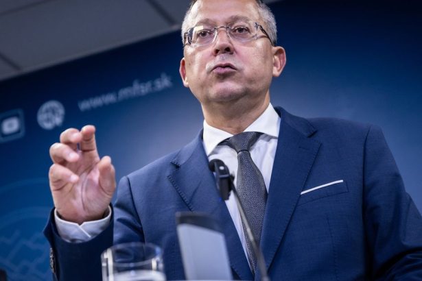 Minister financii Kamenicky pripustil zmeny v dani