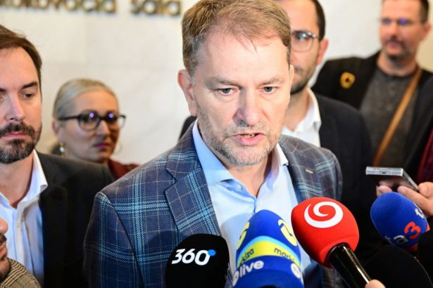 Nespolahlivi falosni a pomozu Smeru PS a SaS odpisali Matovica Demokrati su v soku