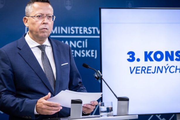 Odbornik varuje Toto nie su skutocne reformy
