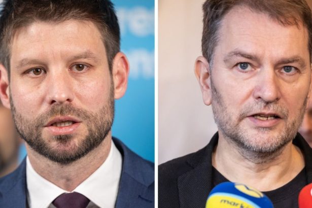 Saskari vylucili Hlas tvrdi Matovic