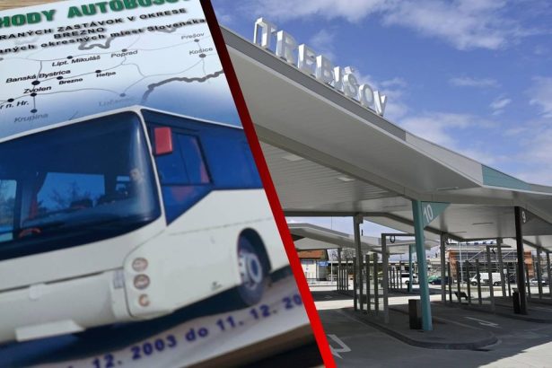 Slovaci prichadzaju o dialkove autobusy hovori podnikatel