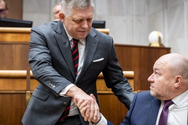 Este aj Peter Kotlar vyzera rozumne