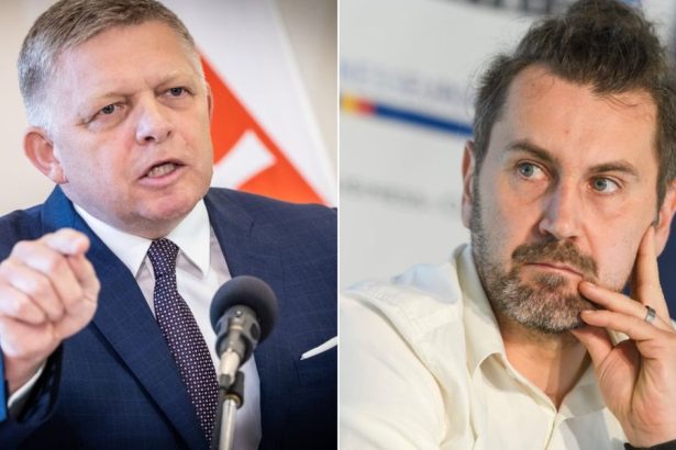 Odbornik na EU Fica brzdi len EU inak by bola viktimizacia a utoky