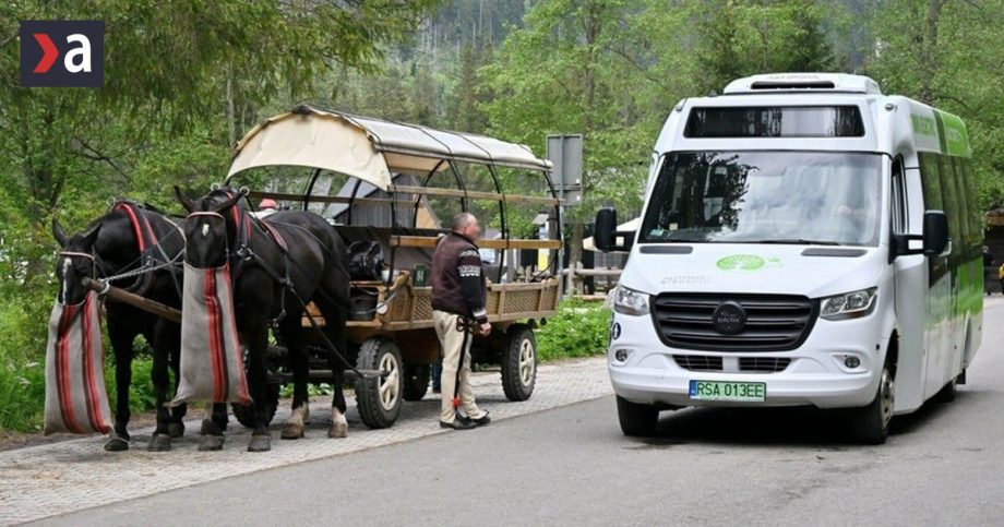 Greenpeace blokovalo ministerstvo Interpol bojuje proti nelegalnemu odlesnovaniu