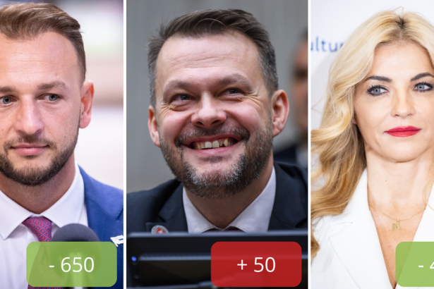 Je to tu Prepustanie v statnej sprave