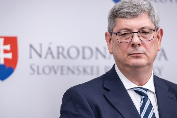 Minister Susko navrhol povinne rozvody pre transludi abf