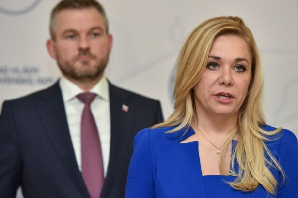 Nove zistenie Stat dal firme Pellegriniho poradcu 5 milionov
