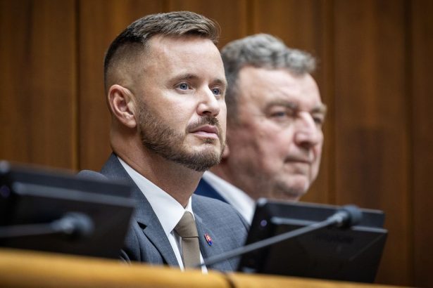 Poslanec Hlasu vysvetlil krok vlady Minister meni zakon