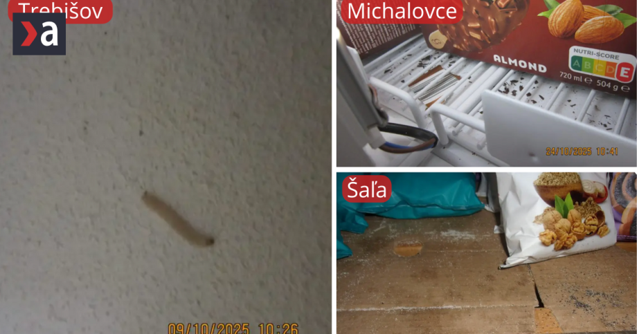 Zive larvy plesne a stare jedlo v obchodoch