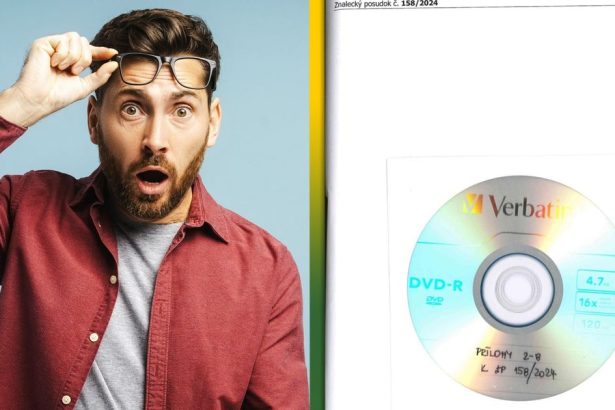 Chcete posudok Prilohy su na CD povedal stat