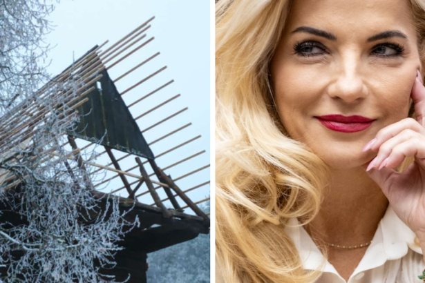 Milionova zmluva na strechy Martinskeho skanzenu vyvolava otazky