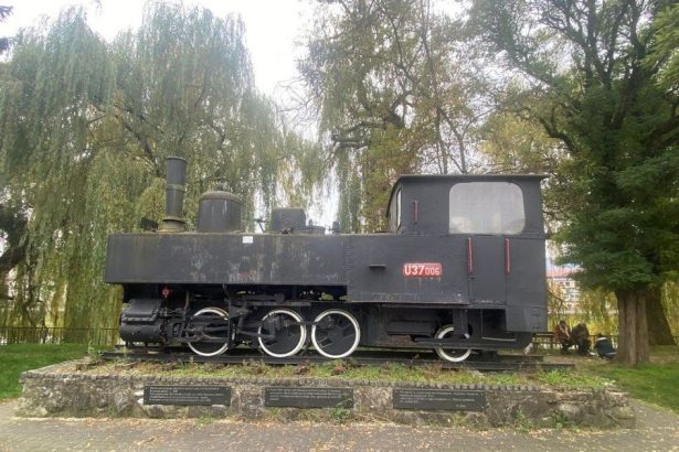 Pamiatkovy urad oznacil rusen U37006 za unikat