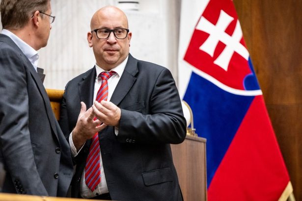 Poslanec sa zucastnuje schodze len ked uzna