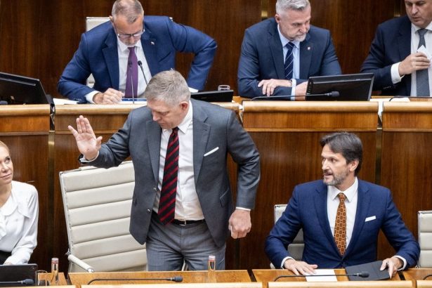 Vlada berie peniaze aby ich dala na energopomoc