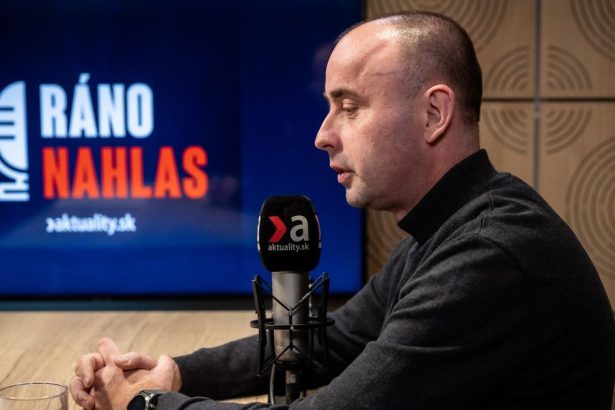 Fico robi Slovensku medvediu sluzbu tvrdi Stefancik