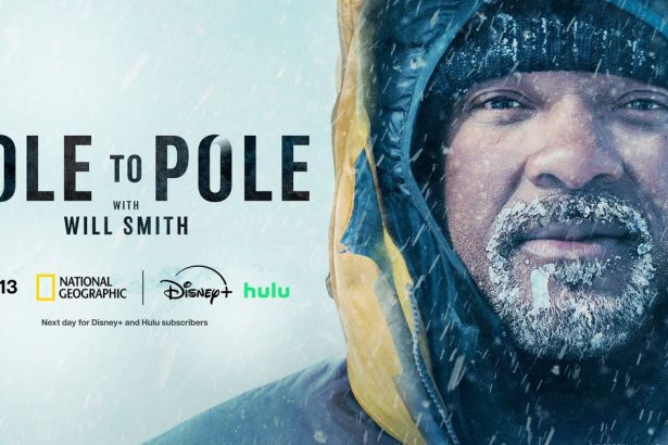Januarove novinky na Disney a Netflixe
