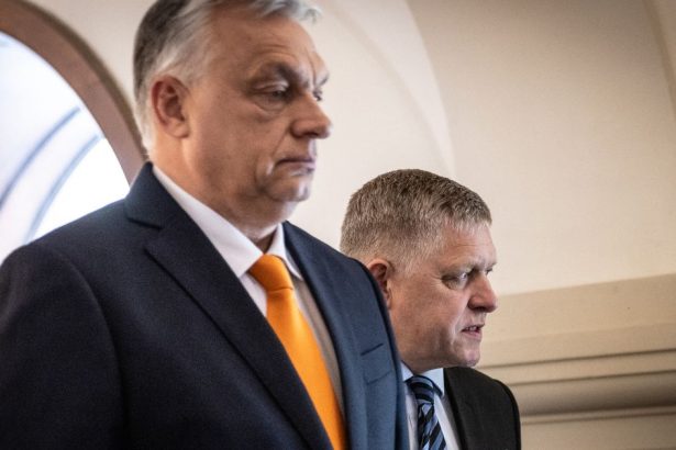 Koniec nadstandardnych vztahov Orbanova poradkyna ziada zasah proti Slovensku