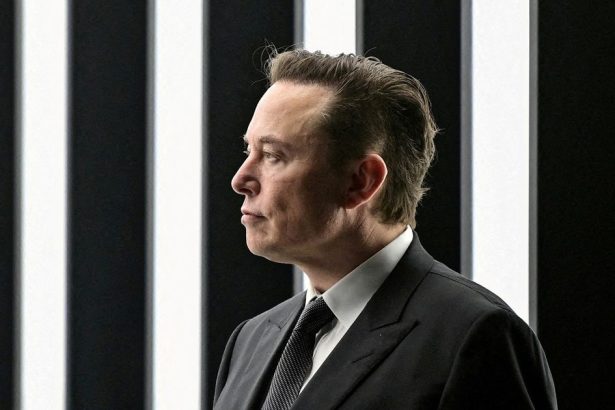 Stacilo jej poslat fotografiu a osobu vyzliekla Muskova umela inteligencia narazila na problem situaciu sleduju aj slovenske urady