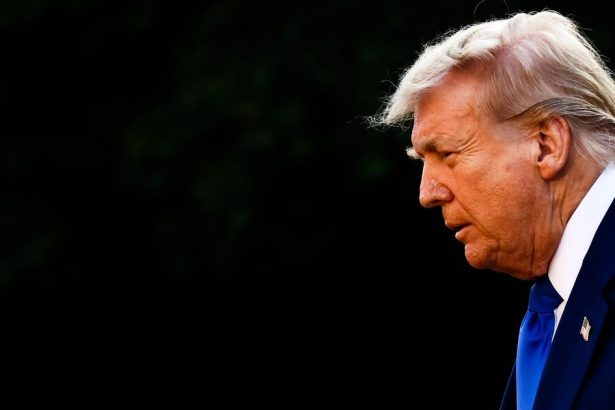 Trumpovci dufaju ze krajni pravicari ozivi nacionalizmus