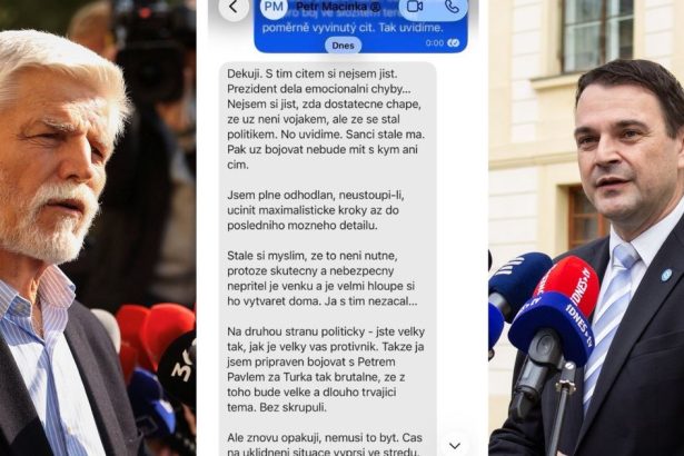 Vyjednavaci styl ceskeho ministra zahranicnych veci pripomina nizkeho gangstra komentar Zola Mikesha