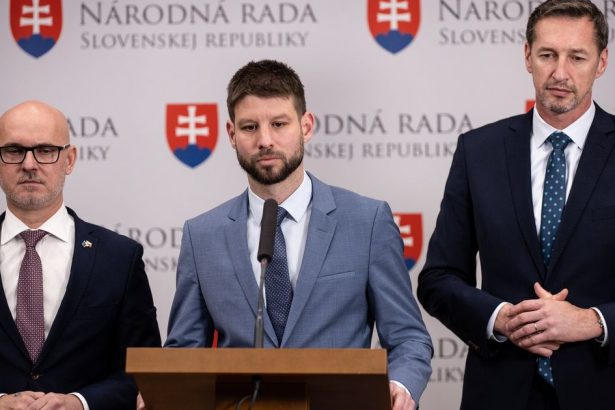 Ak by islo o Ficovu rodinu znicili by sme ho Co si naozaj myslia opozicni spojenci PS o kauze matky Simecku