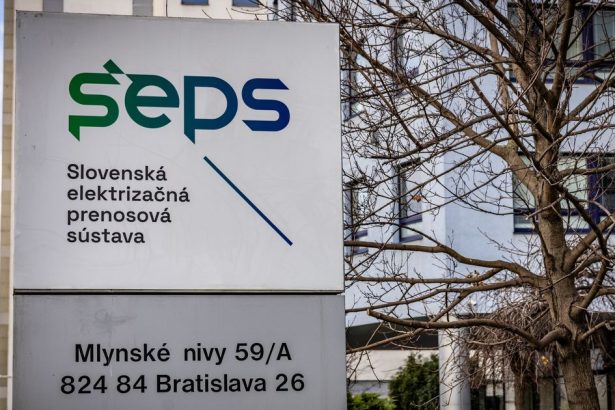 Bleskovy strajk vystasil vedenie strategickeho statneho podniku Zamestnanci dosiahnli svoje