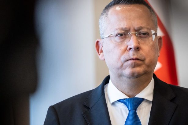 Ministrovi Kamenickemu nevychadzaju plany Jeho analytici odhalili kde su najvacsie nedostatky v rozpocte