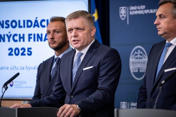 Sme experimentalnym laboratoriom eurozony Zasadne zmeny sa u nas zavadzaju rychlo a neodborne transakcna dan je toho dokazom tvrdia firmy