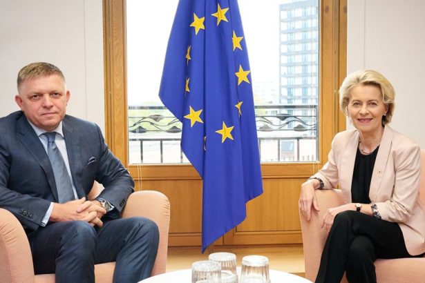 Zachrana eura odhalila krut pravdu Slovensko na nu doplat najviac nazor Martina Hojska