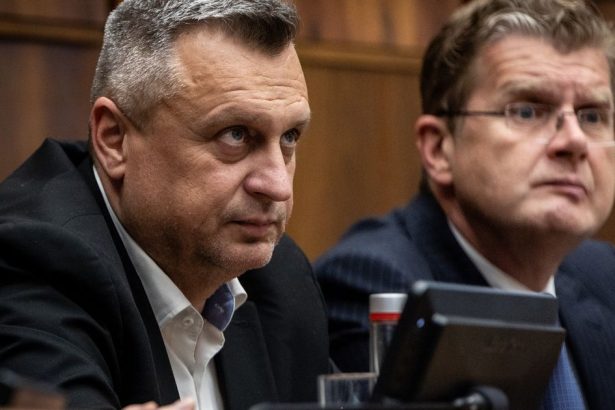 odvolavanie vlady predcasne konci smer hlas a sns navrhnun ukoncenie diskusie