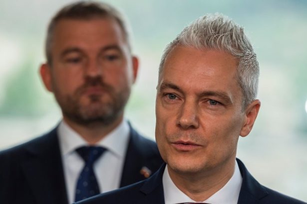 Jana Ferencaka podozrieva ju z korupcie rebel hovori o politickej objednavke a pomste Kde je pravda
