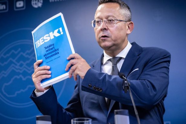 Sekera v statnom rozpocte za prve dva mesiace sokovala Slovensko Odbornici odhalili co sa v skutocnosti deje panel expertov