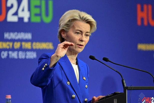 Tvrd zasah pre Brusel Nemci maju dost politiky kvoli ktorej si Europu nikto nevazi tyzden vo svetovej ekonomike