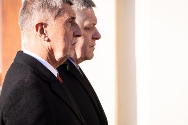 Fico moze byt pre Babisa zatazou je vyrazne prorusky posudzuju Cesi Tyzden v svetovych mediach