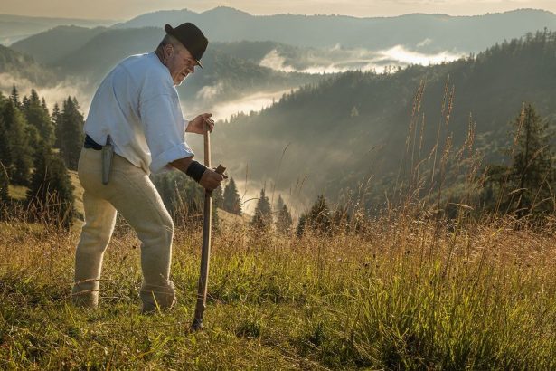 Kosice z Vernara z luky vytvorili svetovy unikat kde rastie viac druhov rastlin ako v dazdovom pralese
