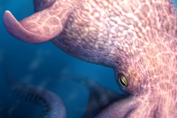 Novy objav prepisuje historia Oceanom vladli obrovske chobotnice Takto vyzerali
