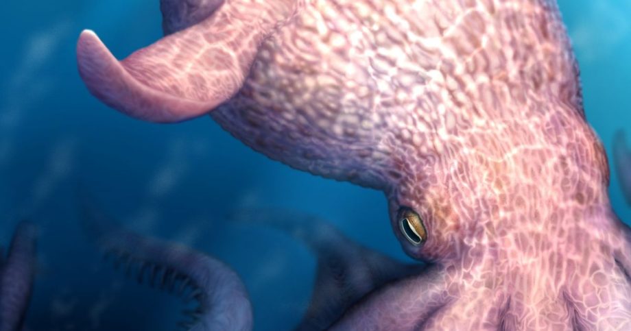 Novy objav prepisuje historia Oceanom vladli obrovske chobotnice Takto vyzerali