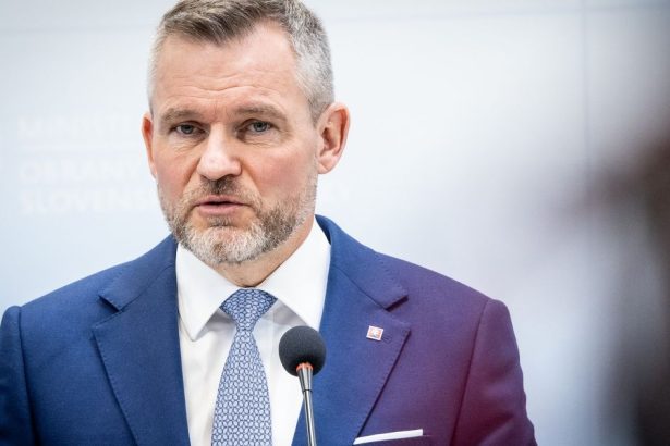 Referendum o konci koalicie Smeru Hlasu a SNS Porco mozu demokrati narazit na prezidenta