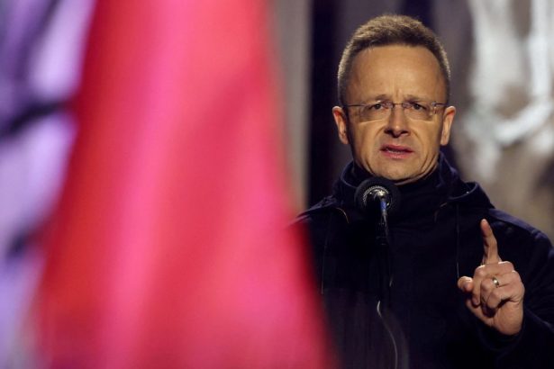 Spolu so Slovakmi kryli sponzora Putinovej zabijackej jednotky nazor Victora Breinera