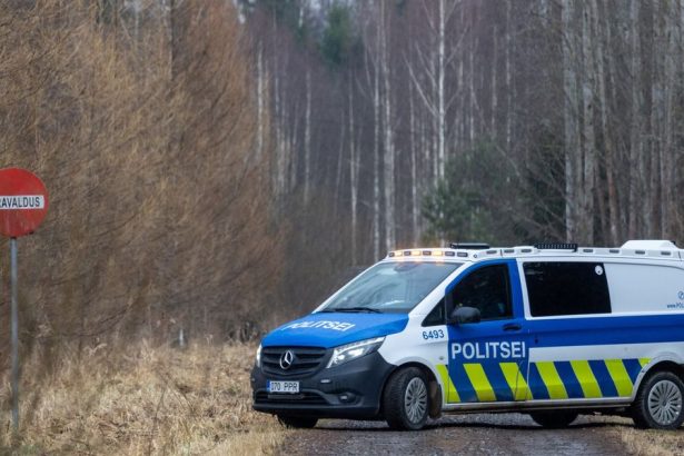 Ukrajinske drony padali z neba v Estonsku a vo Finsku Preto je to tak a co planju pobaltske krajiny urobit