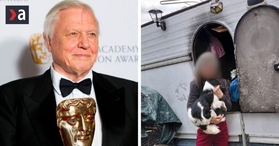 David Attenborough oslal 100 rokov Nepoucitelnej chovatelke zhabali psy z nehumannych podmienok EKObyber